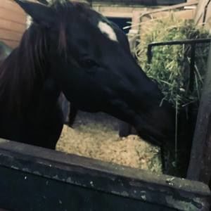 Meet your Posher, Tonya